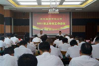 迪尔集团召开2021年上半年工作会议